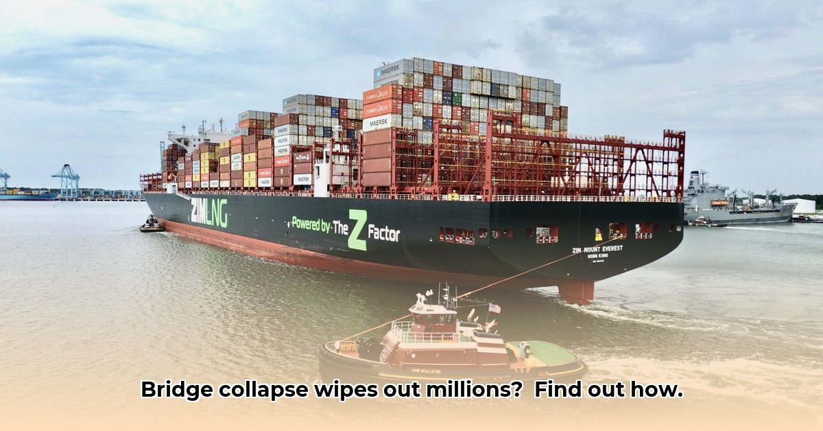 grace-ocean-private-ltd-net-worth